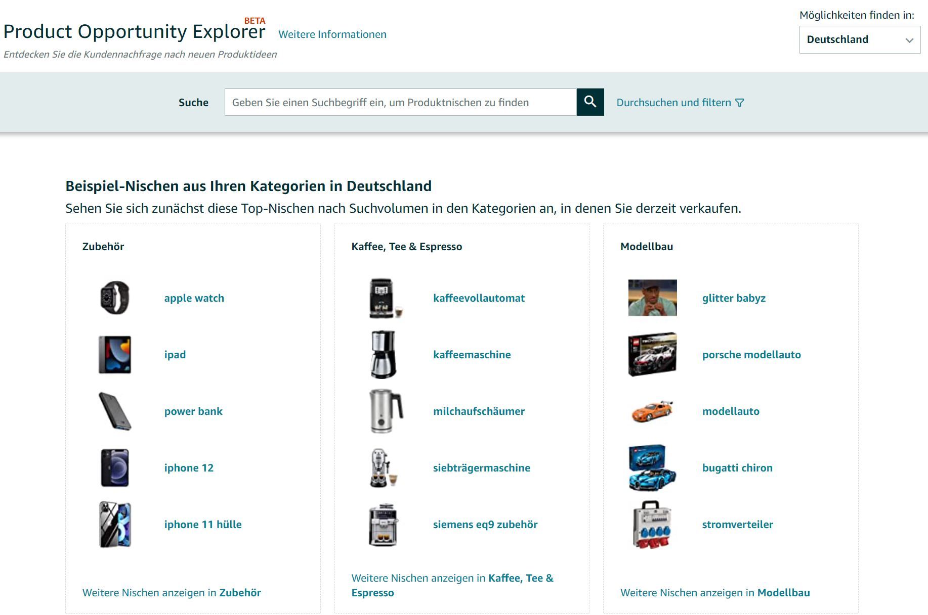 Beispiel Nischen des Product Opportunity Explorers