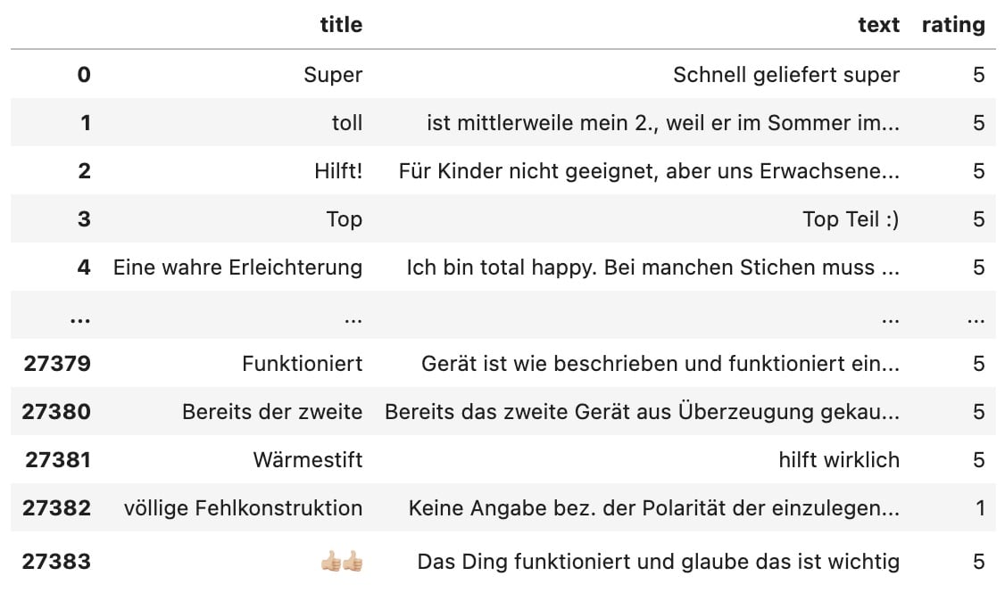 Amazon reviews dataframe showing bite away customer feedback for BERTopic analysis