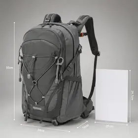 03 Scale and Size