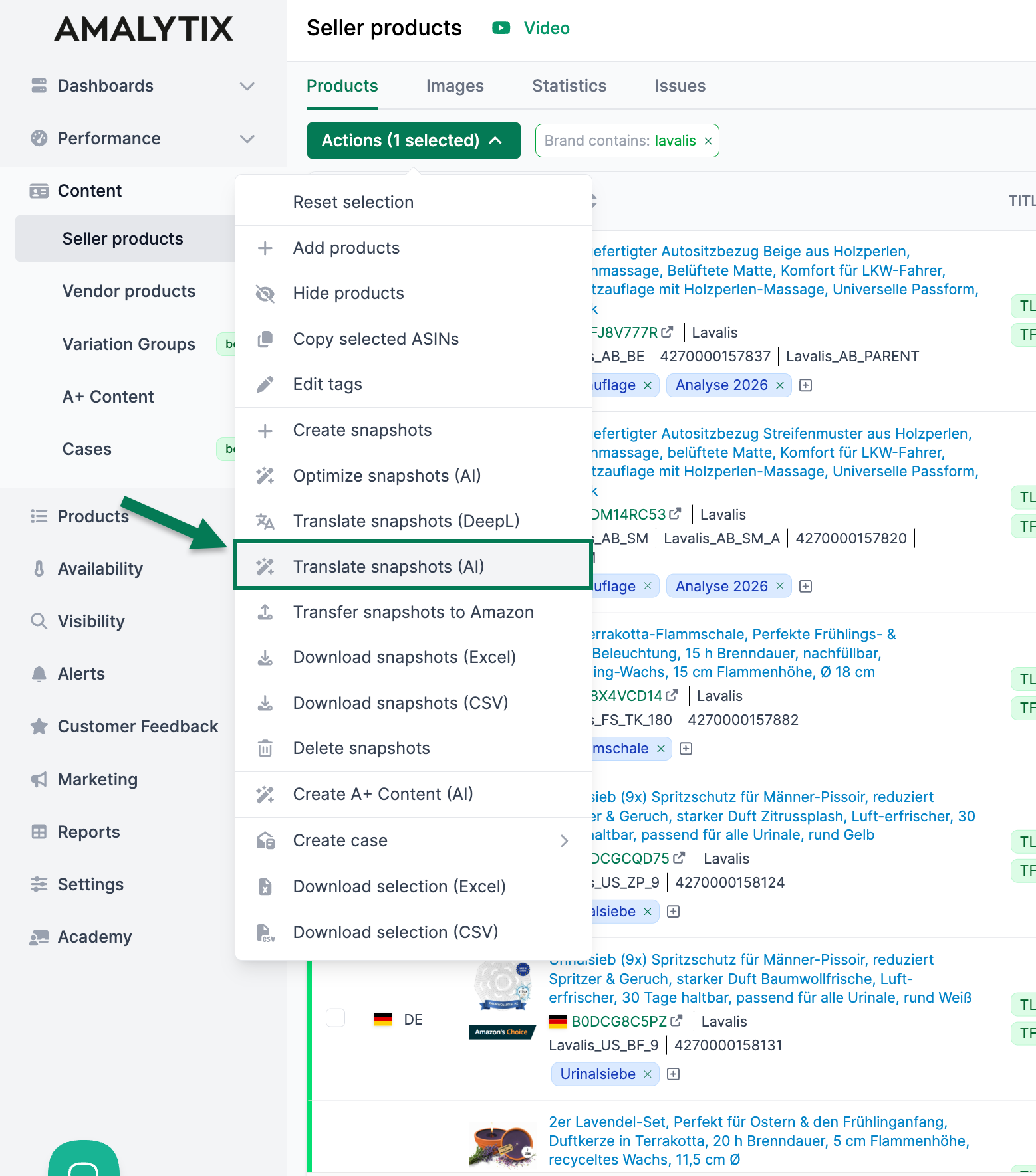 Agent für Snapshot-Übersetzung