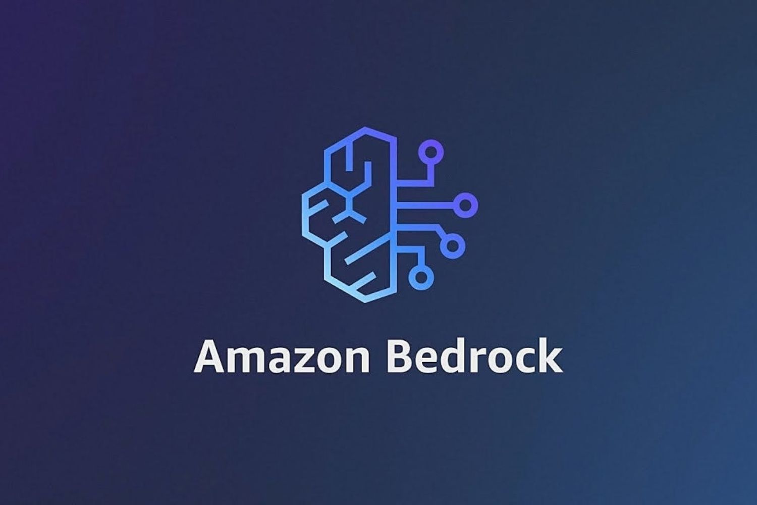 Run sensitive analysis on AWS Bedrock