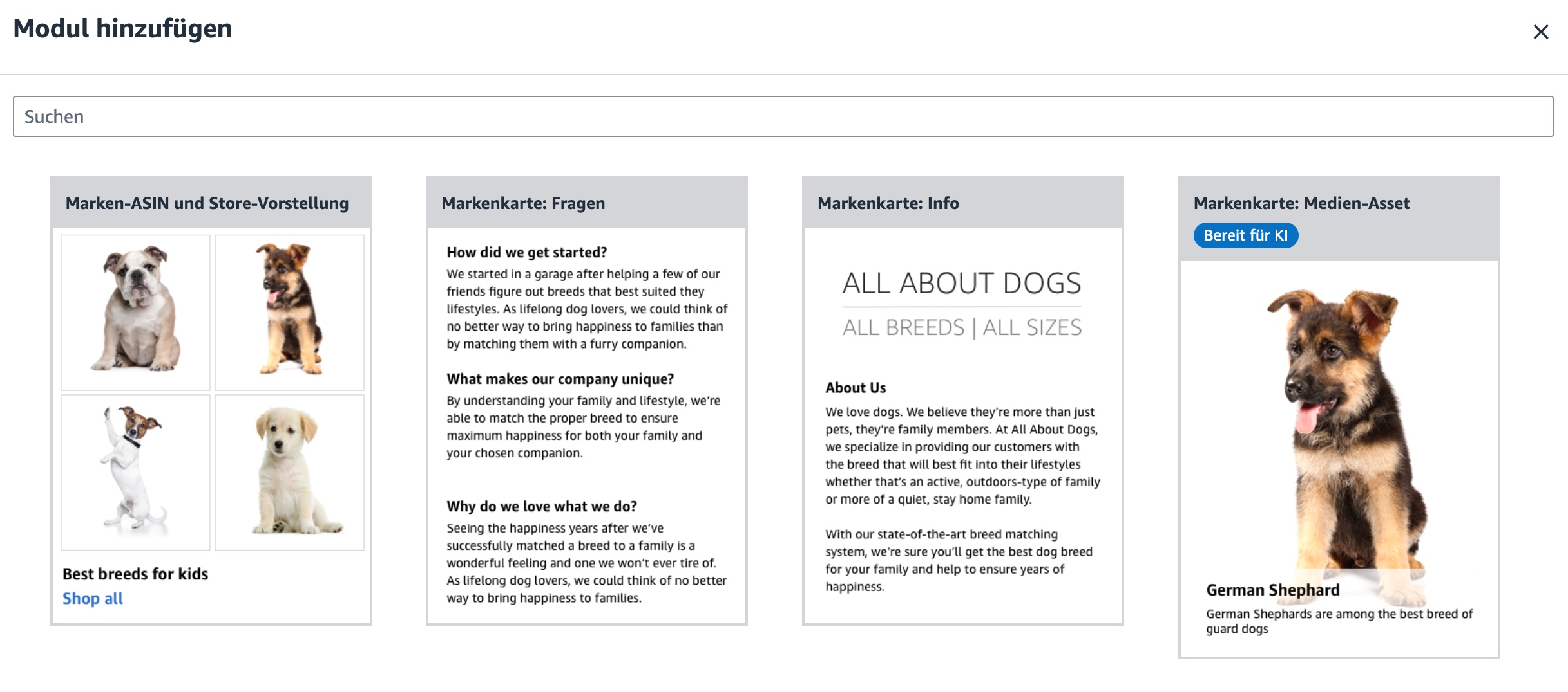 Brand Story Modul